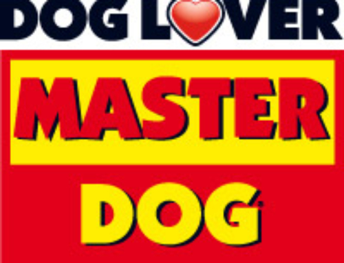 Master Dog “Dog Lover” marketing campaign in UK